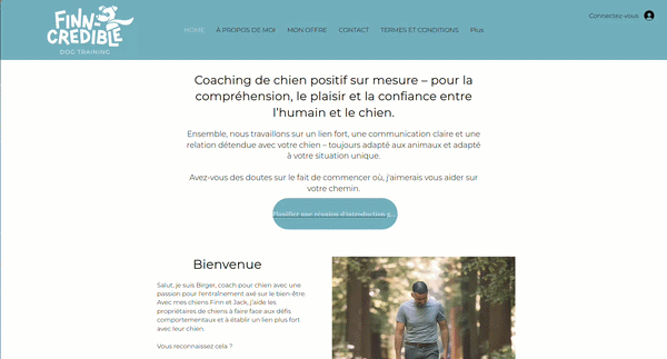 Exemple de site web obsolète avec design daté